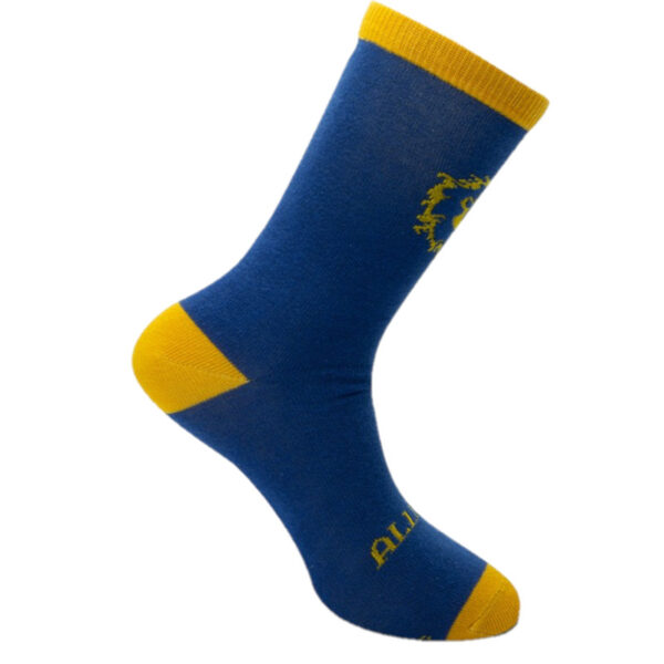 WORLD OF WARCRAFT - Socks - Blue & Yellow - Alliance