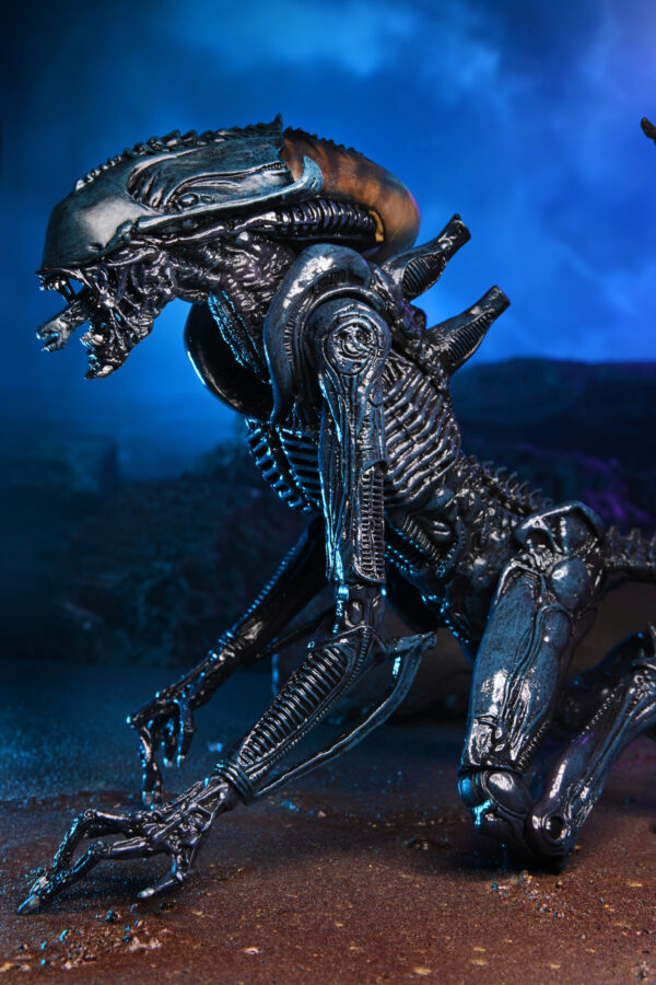 Alien vs Predator - 7" Scale Action Figure - Arachnoid Alien (Movie Deco)