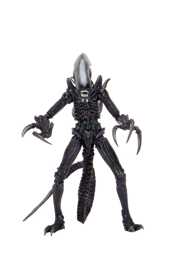 Alien vs Predator - 7" Scale Action Figure - Razor Claws Alien (Movie Deco)